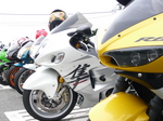 P1000607.JPG