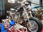P1000176.JPG