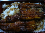 P1000085.JPG