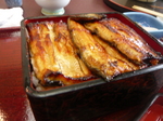 20100409 055.jpg